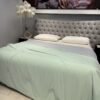Light Green Grey